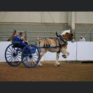 Meet your Posher, Briana